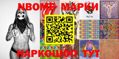мяу мяу мука Ачхой-Мартан