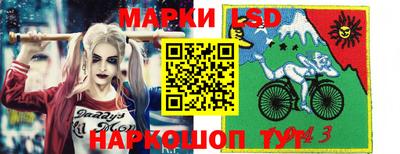 мяу мяу мука Ачхой-Мартан