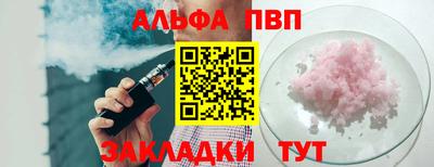 мяу мяу мука Ачхой-Мартан