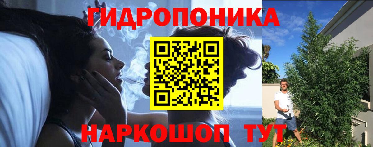 Марихуана сатива  Бошки Шишки марихуана  Тихвин  МАРИХУАНА Bruce Banner  Вход с VPN 